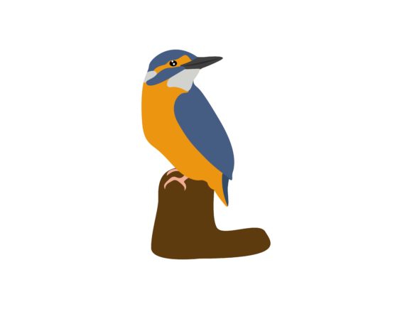 Alcedinidae Standing Bird Animal: A Visual Guide for Creatives