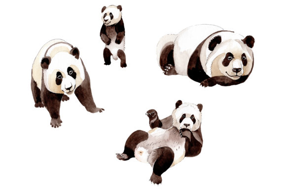 Animal Panda Watercolor: A Complete Design Toolkit
