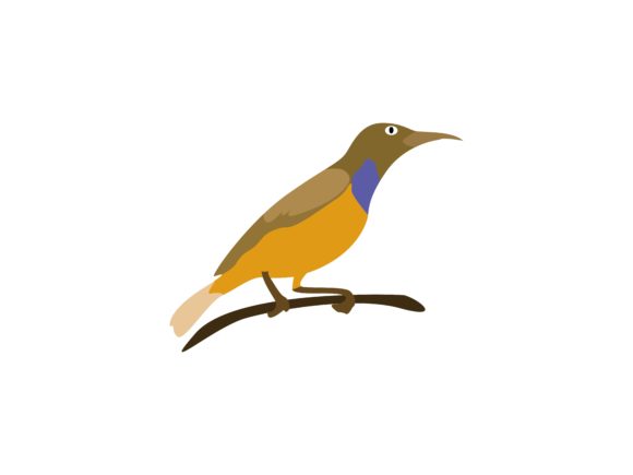 Comon Rock Trust Bird Animal: A Versatile Asset for Creative Projects