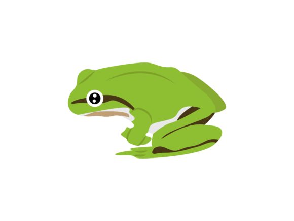 Gastrotheca Frog Animal: A Designer's Deep Dive