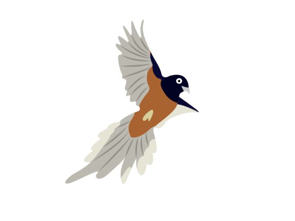 Magpie Stone Face Right Bird Animal: A Design Asset for Every Creator
