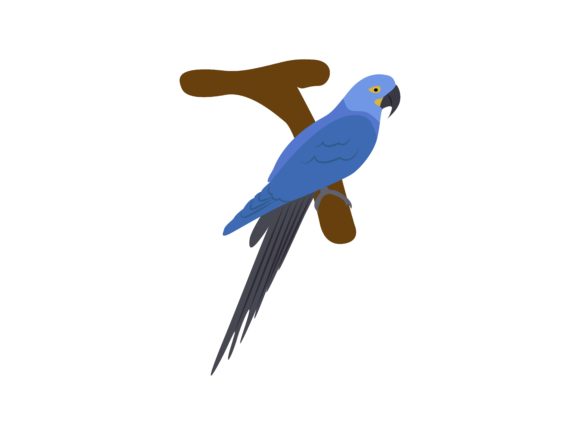 Makaw Hyacinth Bird Animal: A Vibrant Design Asset