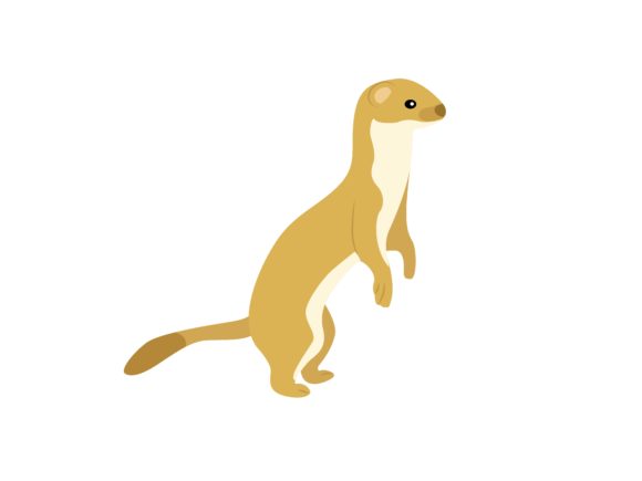 Meet Suricata Suricatta: The Playful Face Right Animal Illustration