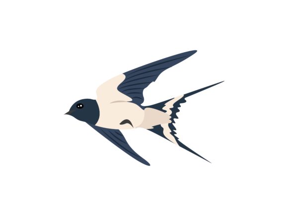 Swallow Flaying Glide Bird Animal: Versatile Design Asset