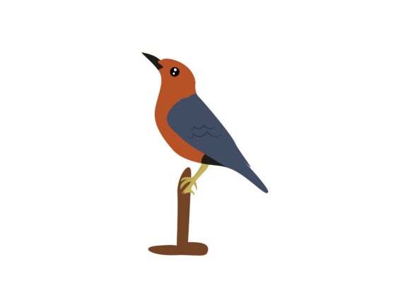 The Vibrant Appeal of Anggel Red Canary Bird Animal